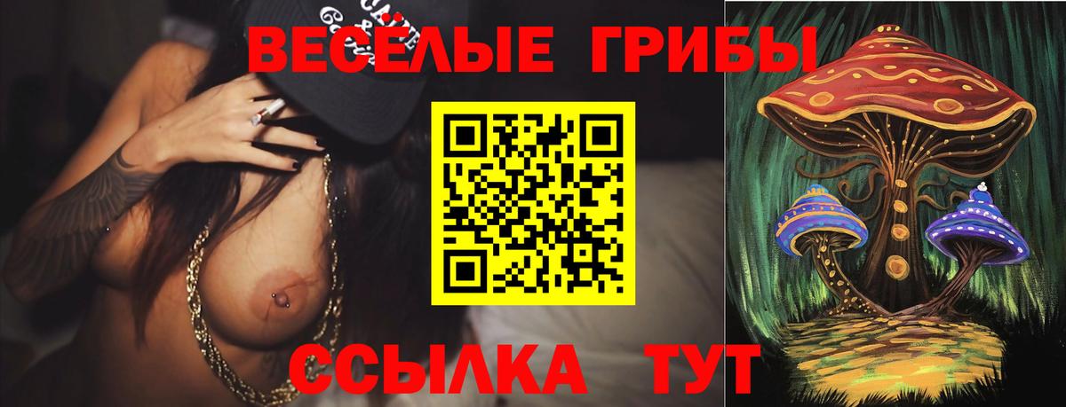 Галлюциногенные грибы прущие грибы  Вход с VPN  Чусовой 